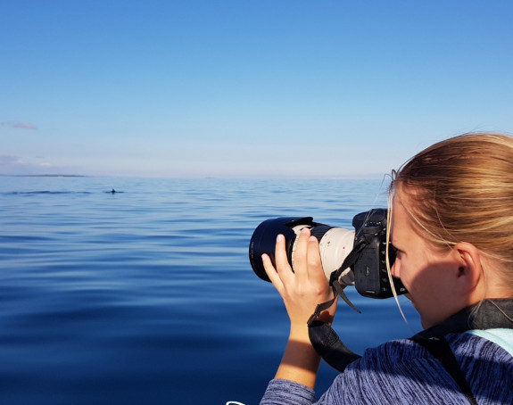 Опасност? Џиновски морски пас виђен у Јадрану