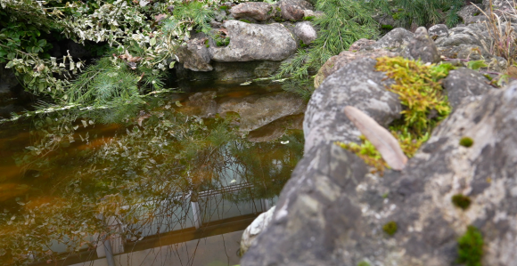 Danas promjenljivo oblačno i toplije, i do 18 stepeni