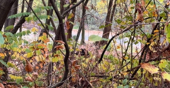 Данас ће бити топло и промјенљиво облачно вријеме