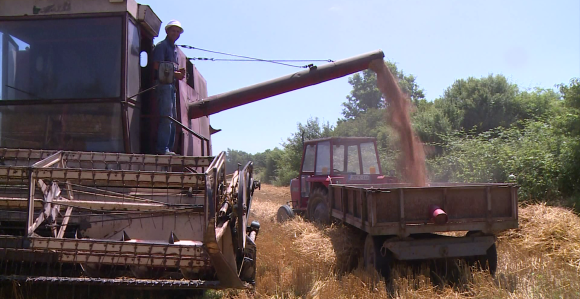 Нови пораст цијена хране због скупље пшенице и биљних уља