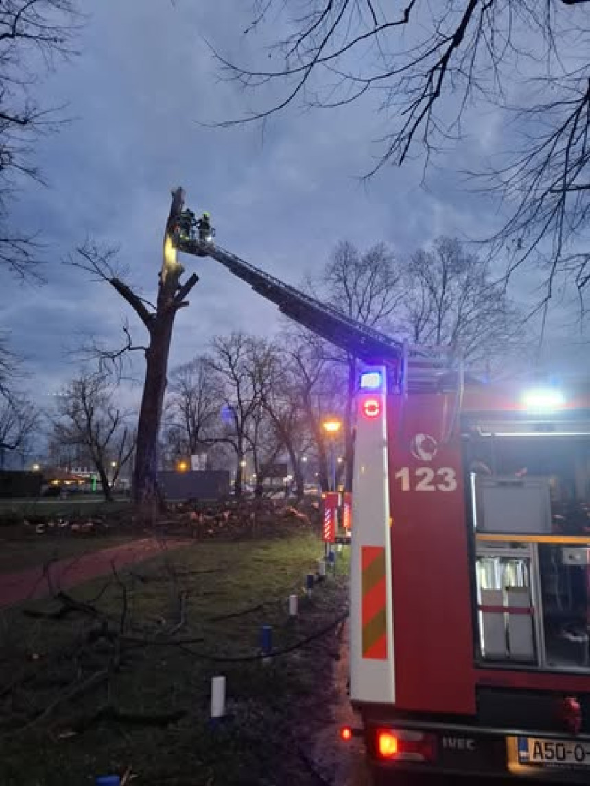 Grom udario u drvo tokom nevremena u Banjaluci