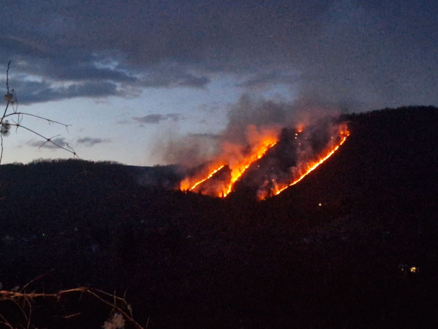 Požar kod Foče zahvatio šumu i nisko rastinje