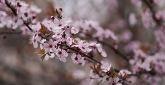 Vrijeme danas: Promjenjivo, smjena sunca, oblaka i kiše