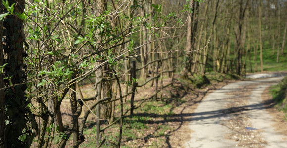 Promjenljivo oblačno uz povremenu kišu, do 17 stepeni