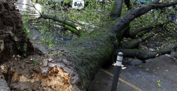 Zagreb: Ovakvi udari vjetra dešavaju se jednom u 100 godina
