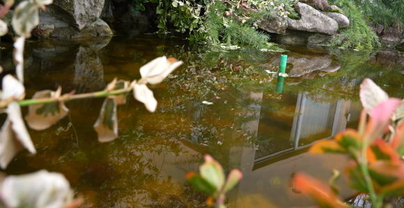 Oblačno i svježije uz povremenu kišu, na jugu s grmljavinom