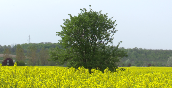 Oblačno i svježije vrijeme sa kišom, na jugu do 22°C