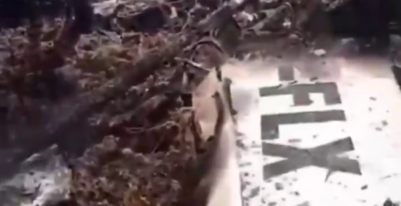 Bahami: Srušio se mali avion, poginuli svi putnici (VIDEO)