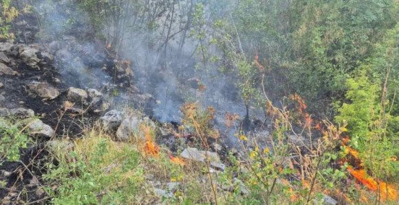Drugi dan požar na Korčuli i dalje gori, stižu pojačanja