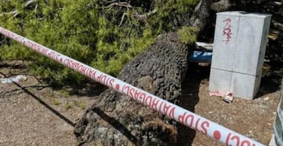 Stablo palo na plaži u Hrvatskoj, povrijeđeno četvoro