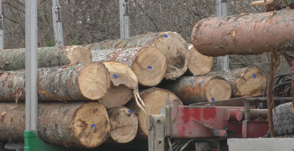Udar na džep: Paprene cijene ogreva pred zimsku sezonu