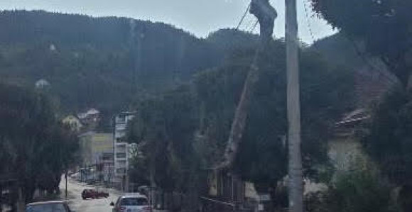 Rogatica: Kamion s balvanima zapeo za elektro-mrežu (VIDEO)