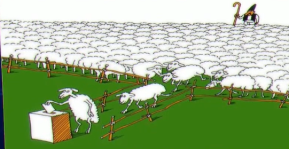 Od koka do ovaca: Kako se u Palama kupuju glasovi?