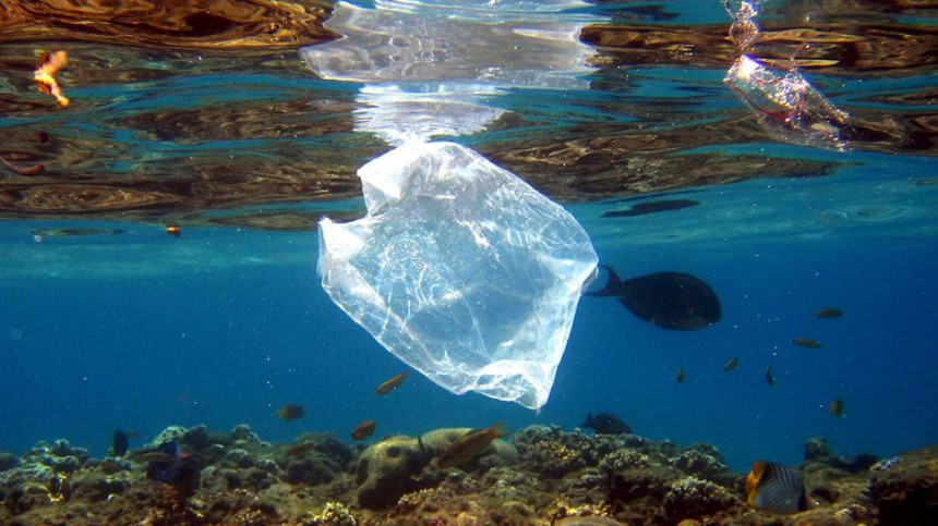 У морима ће до 2050. бити више пластике него рибе