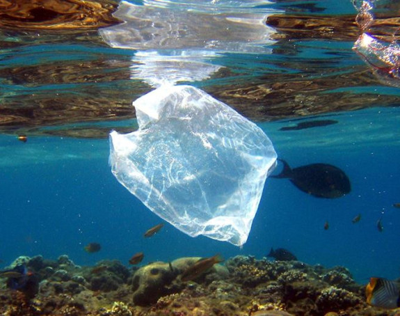 U morima će do 2050. biti više plastike nego ribe