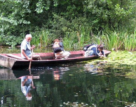 Blago skriveno u bari Gromiželj