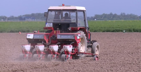 Прољетна сјетва у сјенци беспарице