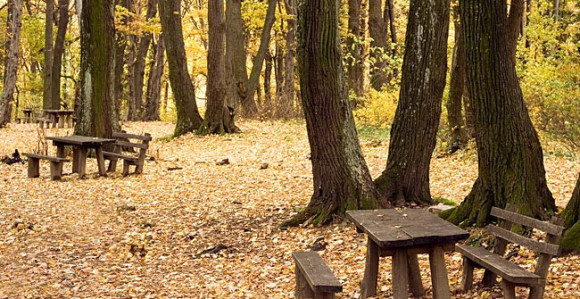 U zavjetrini sremskih hrastika 