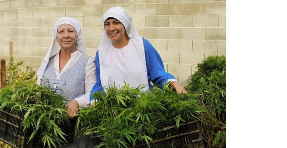 Часне сестре гаје марихуану