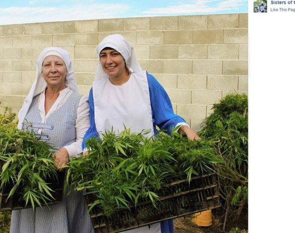 Часне сестре гаје марихуану