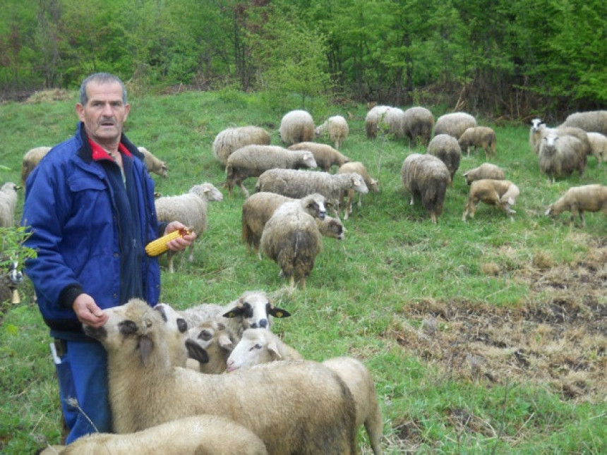 Rudo: Gastarbajter, pa sada Mića čobanin