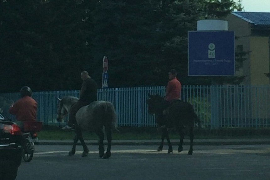 U Banjaluci se konjima ide na fakultet?