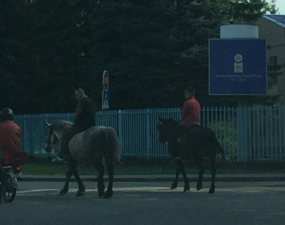 U Banjaluci se konjima ide na fakultet?