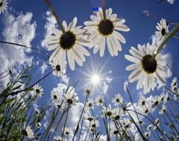 Jutros sunce popodne kisa