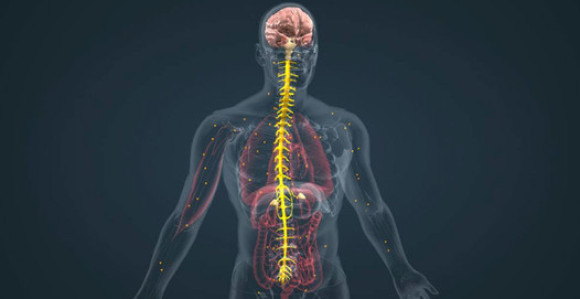 Šta vaše tijelo poručuje vama?