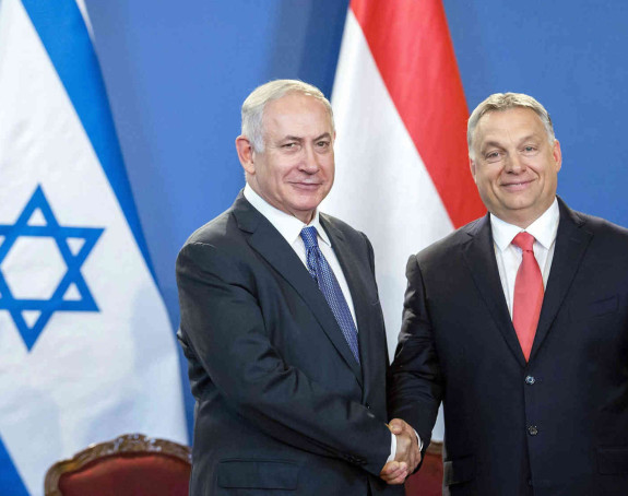 DW: Mužjaci koji tjeraju po svom