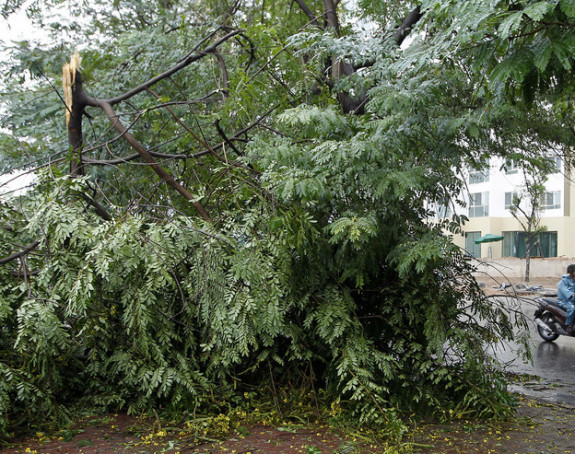 20 poginulih u tropskoj oluji