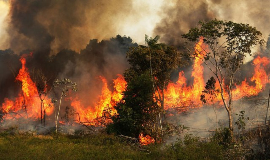 "Плућа планете" у пламену: Ко су кривци за пожаре?