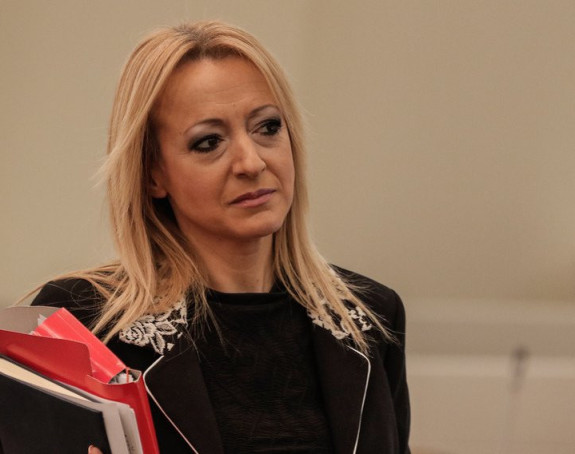Košarac pisao ustav BiH bez Republike Srpske