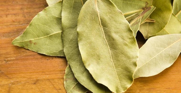 Protiv gripa i bronhitisa