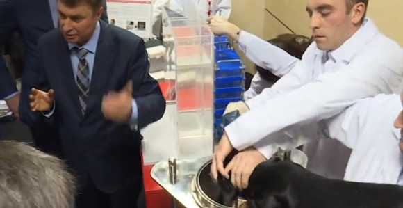 Rogozin udomio “Vučićevog psa“