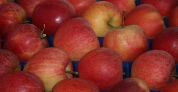 "Frukt kompani" brisan sa liste 