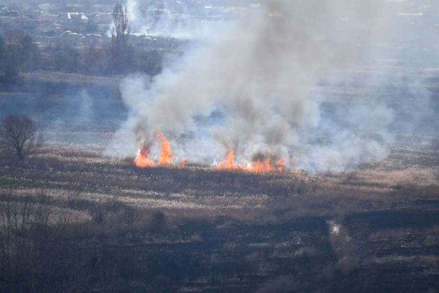 Palio korov i izgorio u vatri