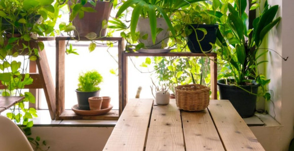 Vrijeme je da se posvetimo cvijeću