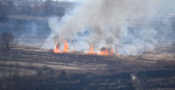 Palio korov i izgorio u vatri