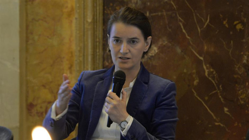 Ponedeljak dan D za Aninu Vladu