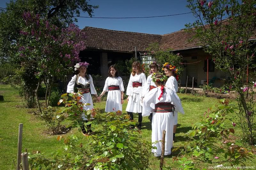 Sutra uberite cvijeće, ali ga ne nosite u kuću