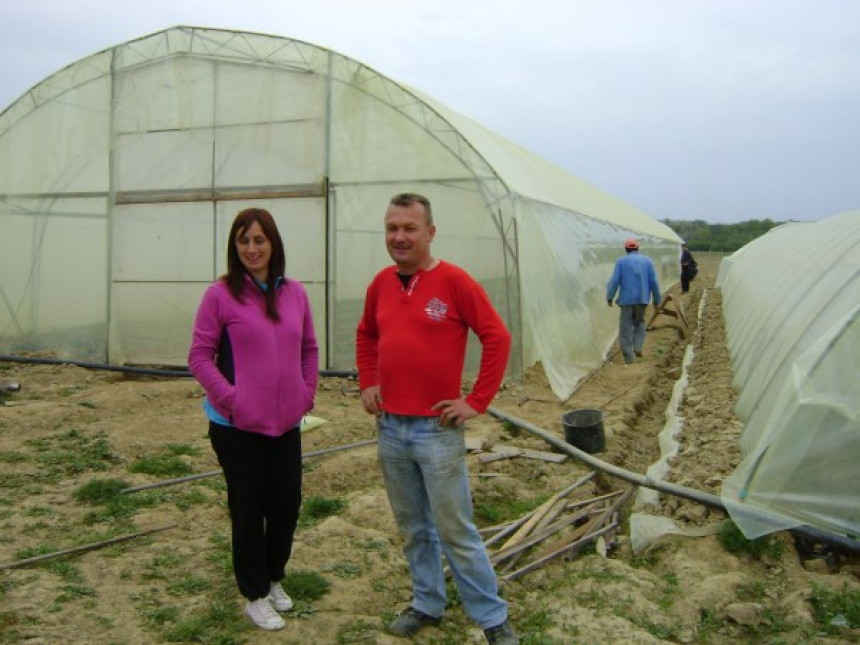 Srbac: Podignuto još 14 plastenika
