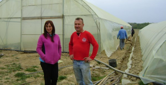 Srbac: Podignuto još 14 plastenika