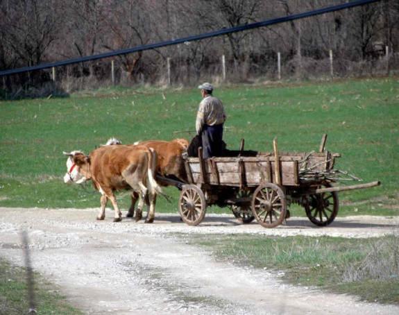 Poginuo muškarac u Jahorinskom potoku