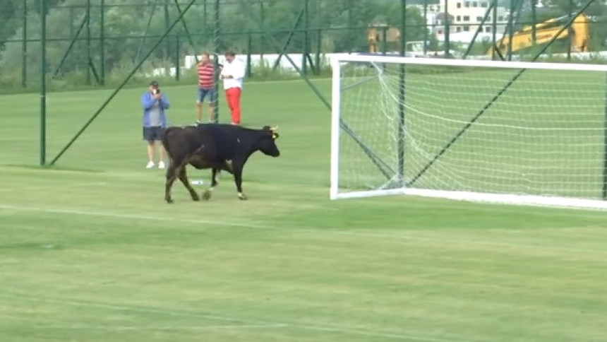 Video: 'Alo, nije ti ovo korida, već fudbalski meč!
