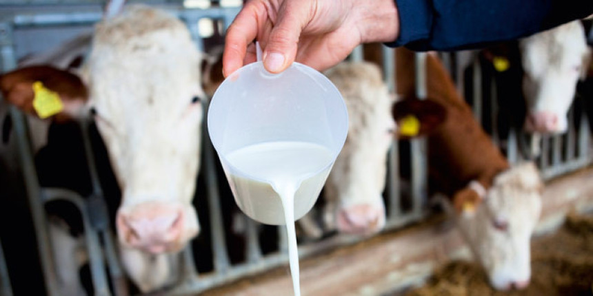 Hiljadu mljekara prestalo sa radom