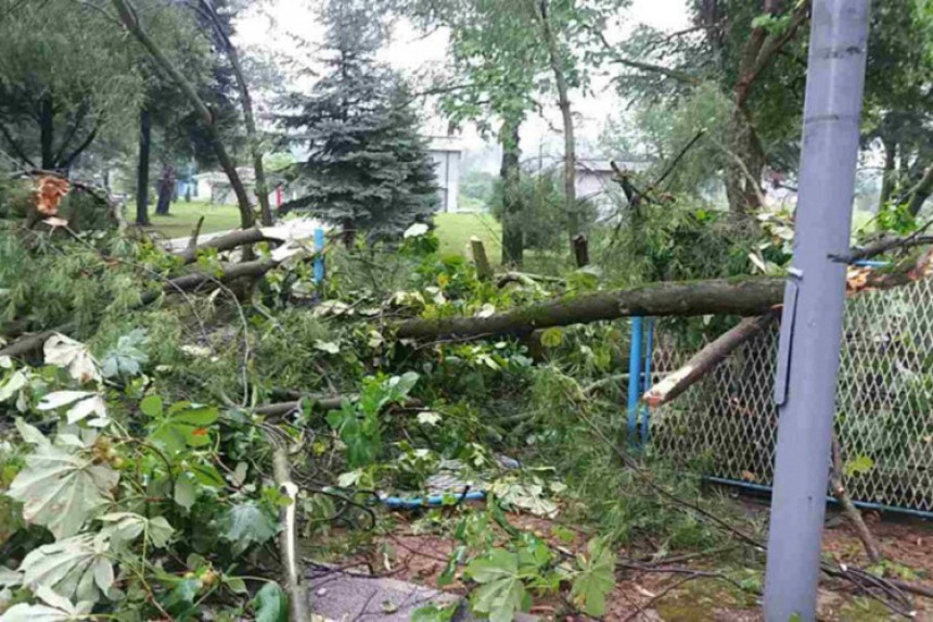 Doboj: Nevrijeme obaralo stabla