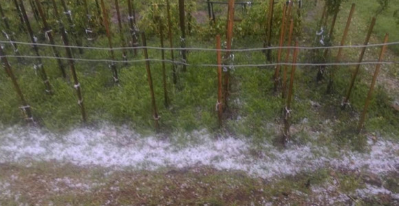 Grad u Tešnju i Zavidovićima