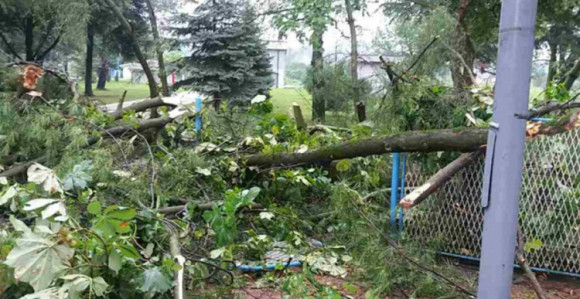 Doboj: Nevrijeme obaralo stabla