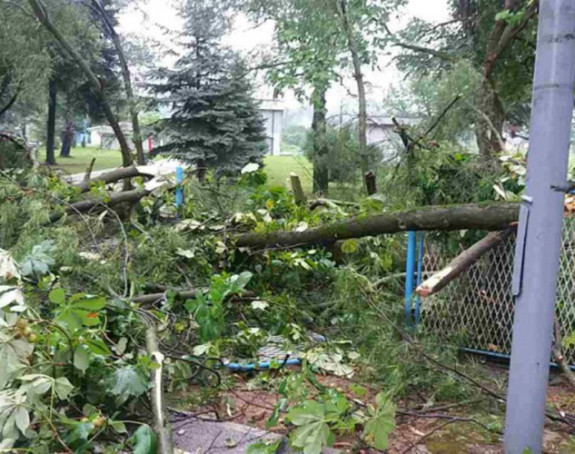 Doboj: Nevrijeme obaralo stabla